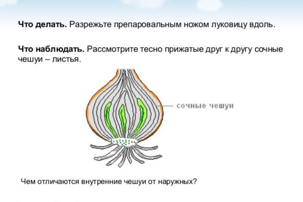 Как зайти на кракен