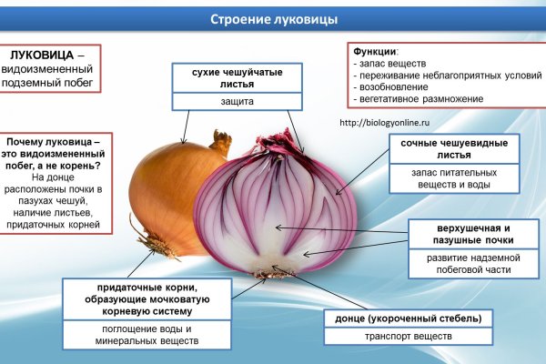 Kraken13 at сайт
