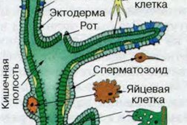 Гидра даркнет рынок